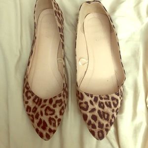 Cheetah flats